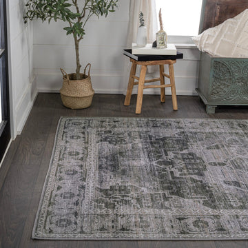 Alanya Ornate Medallion Washable Area Rug